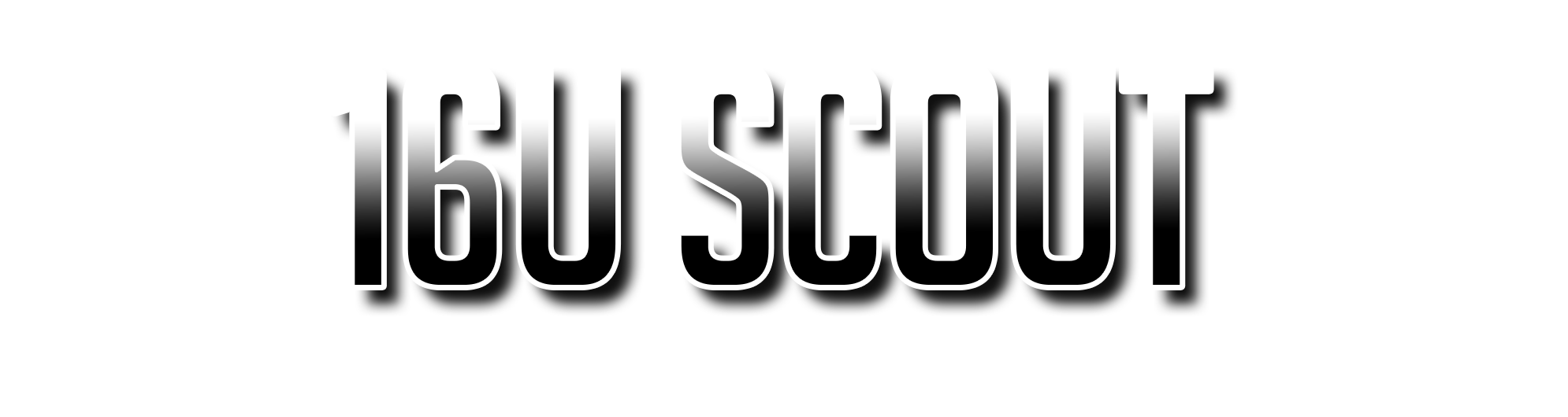16 SCOUT 16 SCOUT